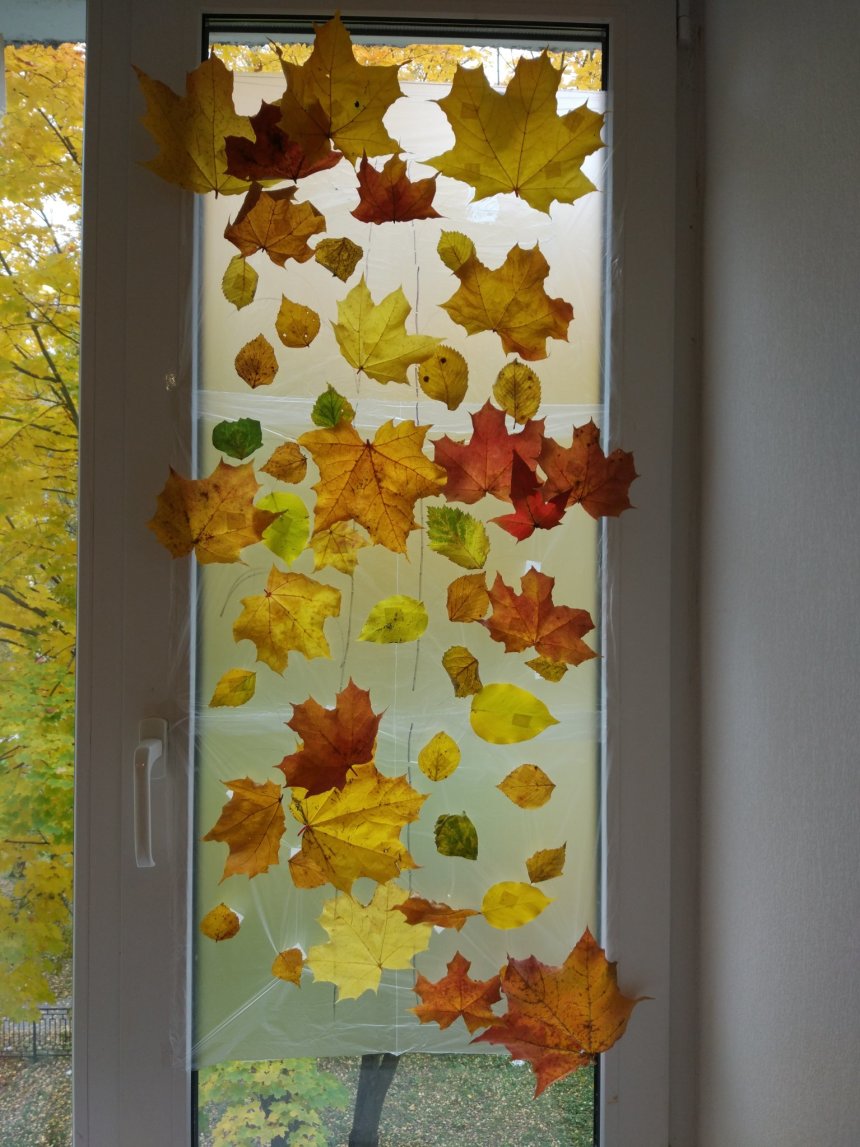 Отчёт по занятию Осенняя аппликация на окне в Wachanga!