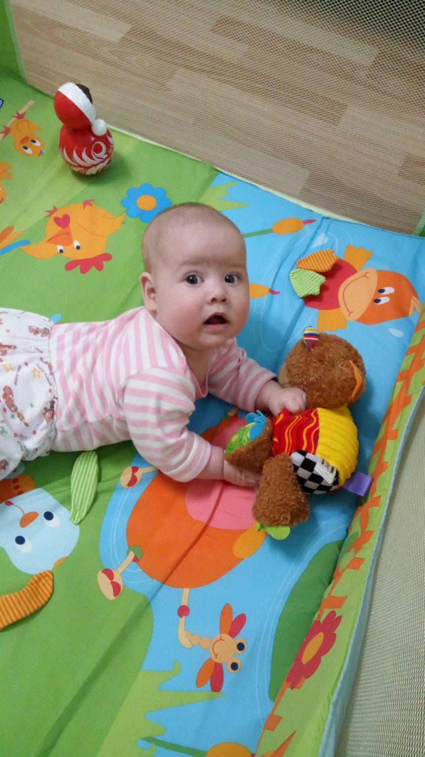Отчёт по занятию Психология ребенка пятого месяца жизни в Wachanga!