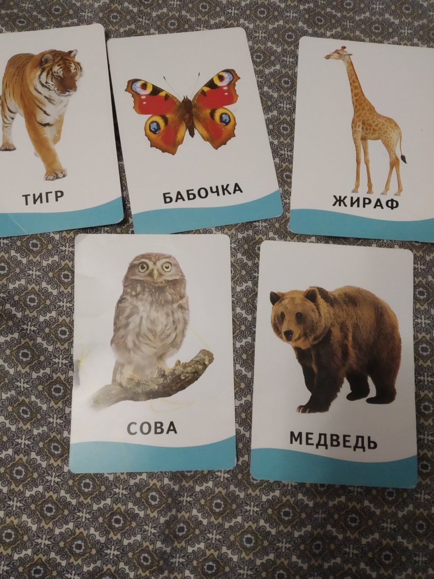 Отчёт по занятию Карточки с животными в Wachanga!