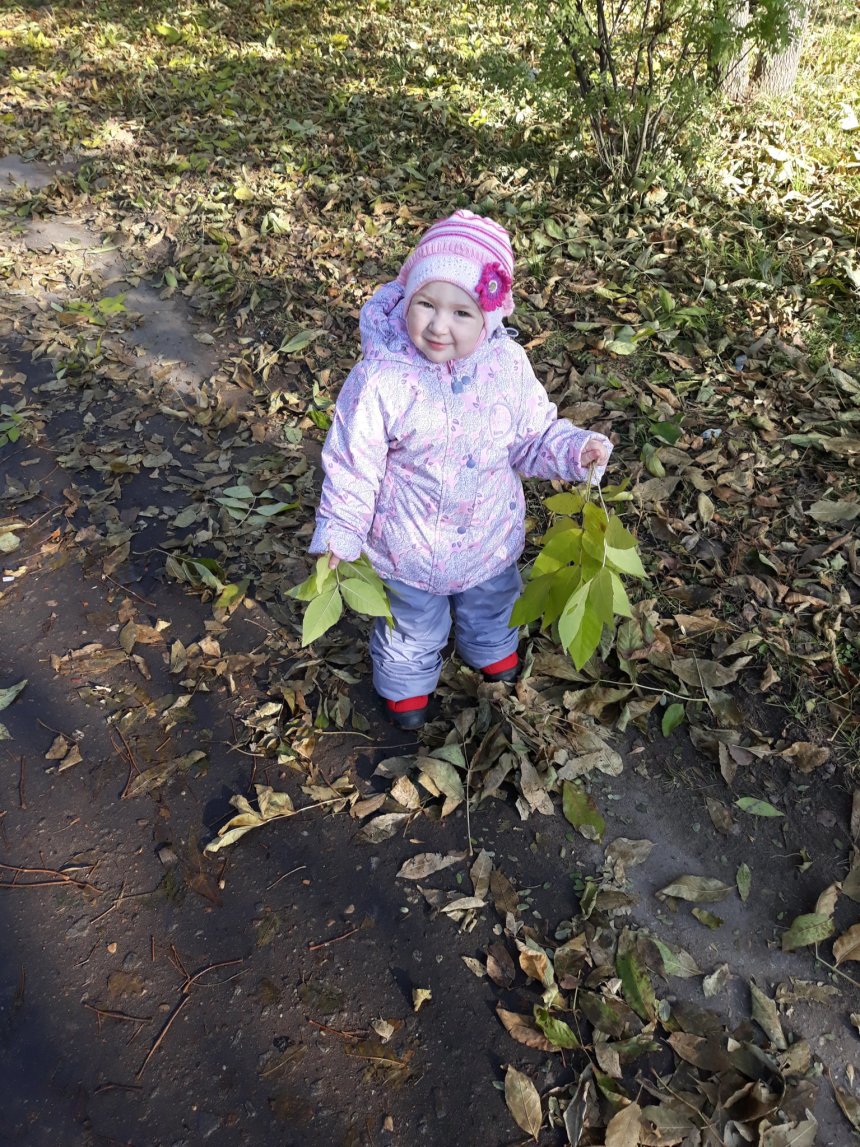 Отчёт по занятию Палитра листьев в Wachanga!