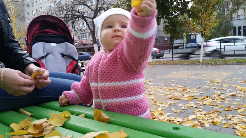 Отчёт по занятию Прогулка с пользой в Wachanga!