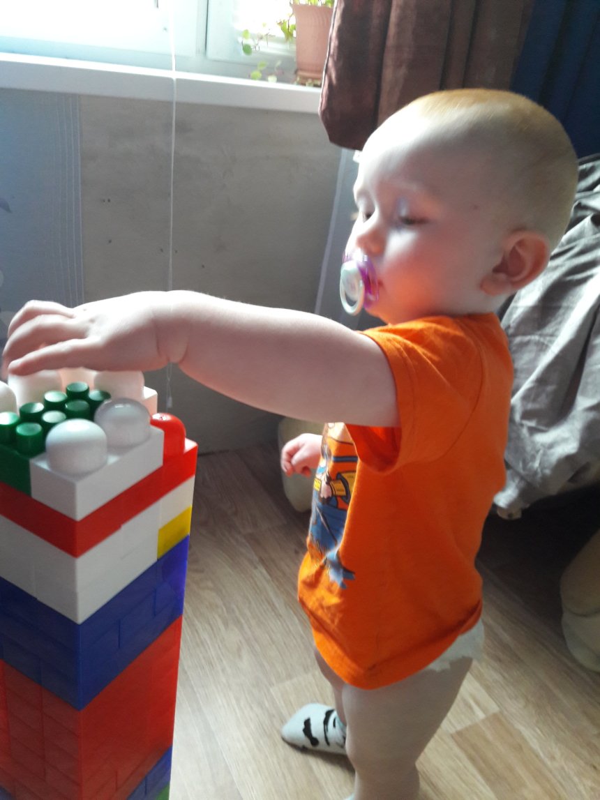 Отчёт по занятию Первые игры с кубиками в Wachanga!